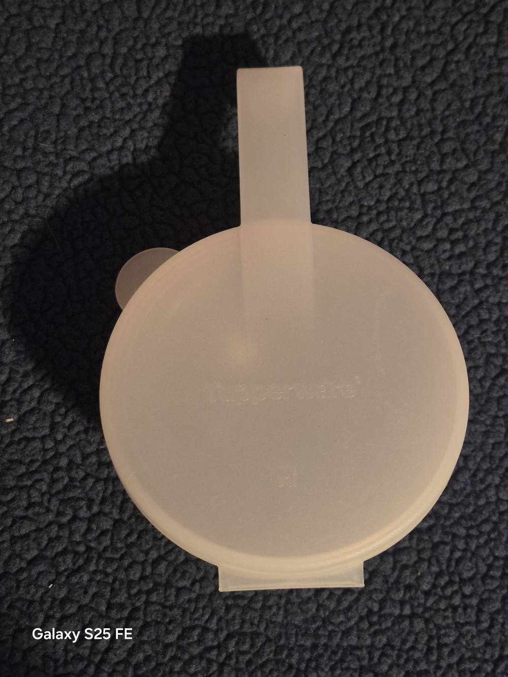 Vintage Tupperware Forget Me Not Onion Tomato Saver Container